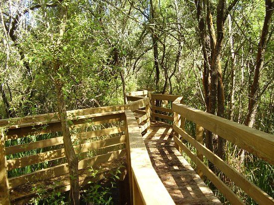 Percurso Pedestre do Salgueiral da Galiza