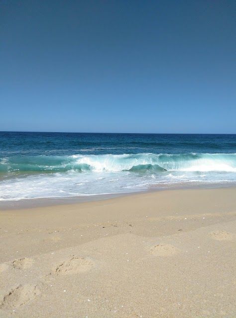 Natural Reserve of the Lagoons of Santo Andre and Santa Sancha